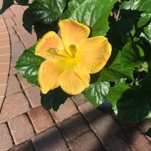 Meet your Posher, Eileen